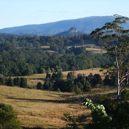 Grey Gum Lodge นิมบิน ภายนอก รูปภาพ