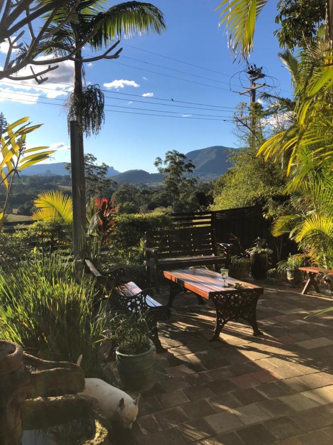 Grey Gum Lodge นิมบิน ภายนอก รูปภาพ