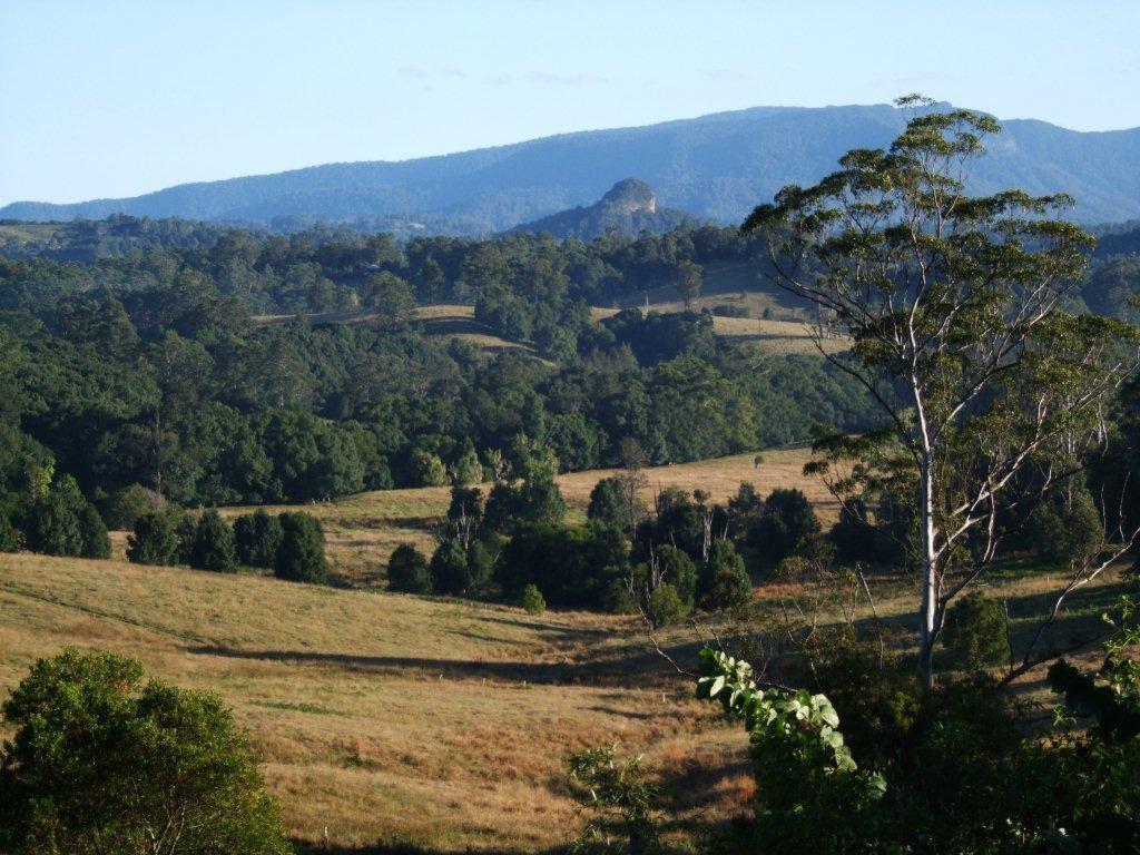 Grey Gum Lodge นิมบิน ภายนอก รูปภาพ