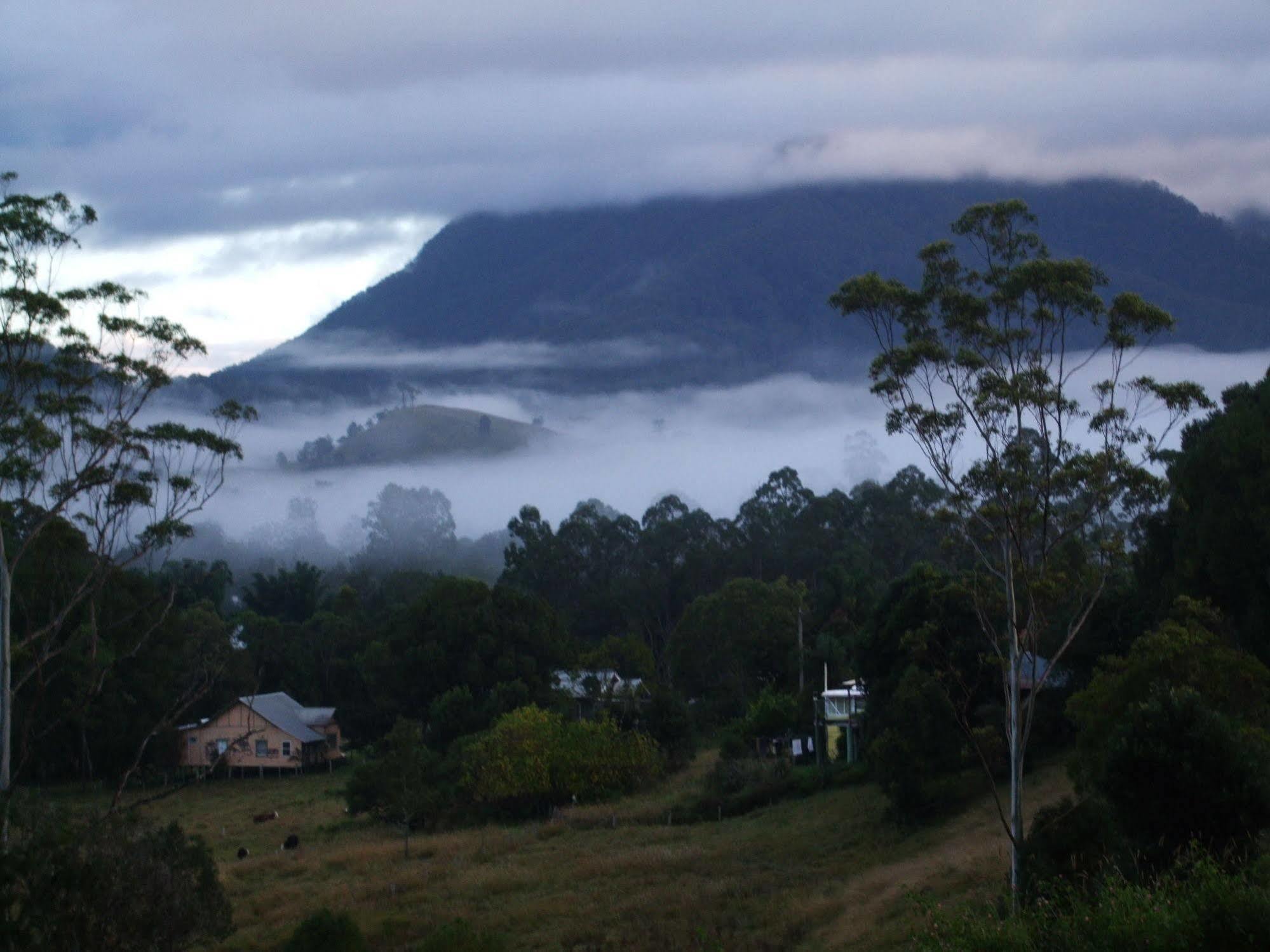 Grey Gum Lodge นิมบิน ภายนอก รูปภาพ