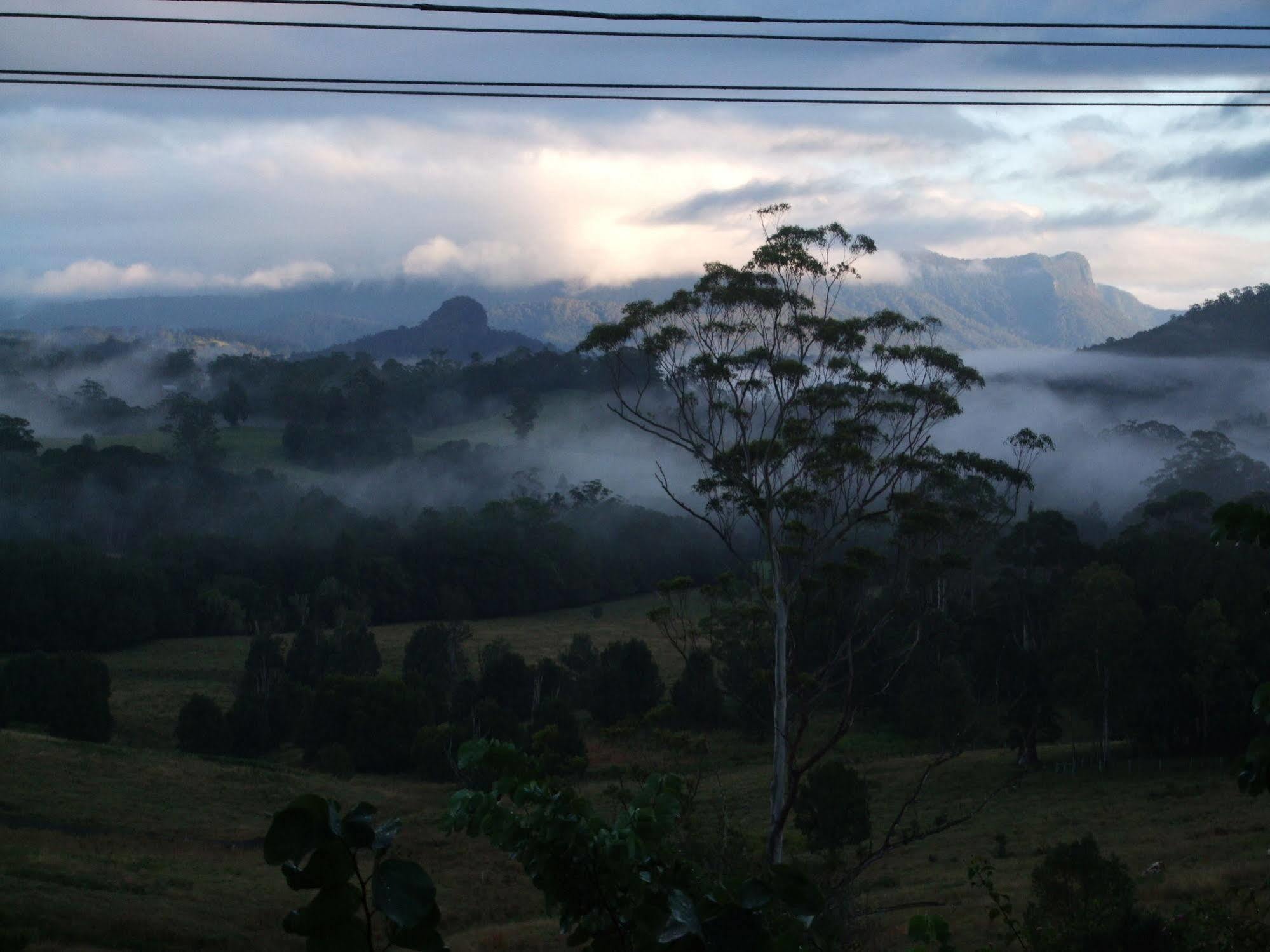 Grey Gum Lodge นิมบิน ภายนอก รูปภาพ